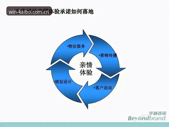 开博体育正版平台入口 开博体育正版平台入口深度分析:从下载到体验的全面解析